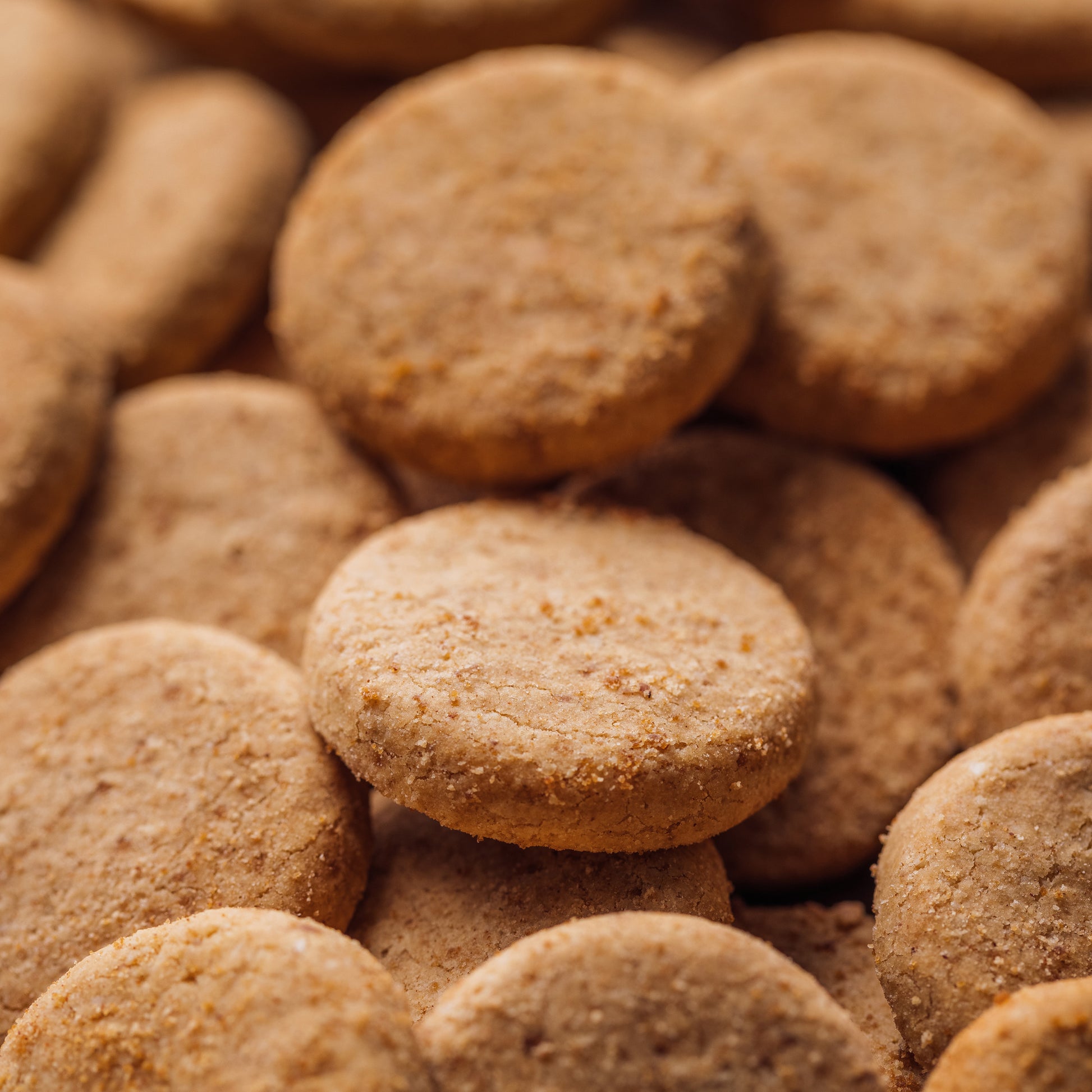 Mexican Shortbread Grain Free Cookies
